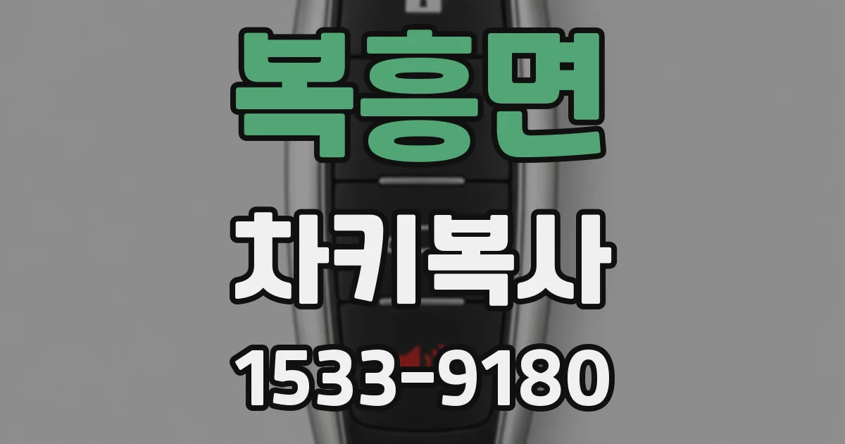 복흥면 차키복사