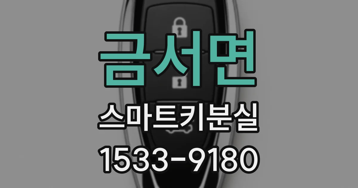 금서면 스마트키분실