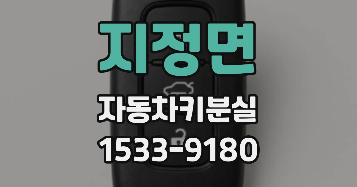 지정면 자동차키분실