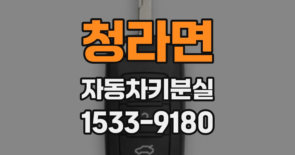 청라면 자동차키분실