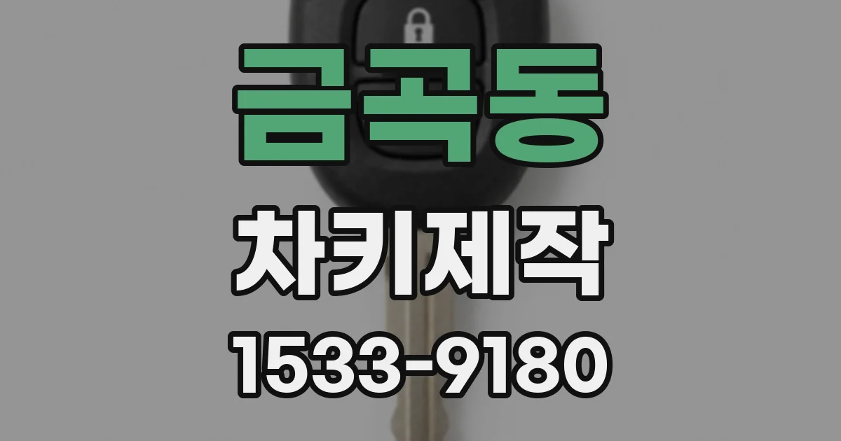 금곡동 차키제작