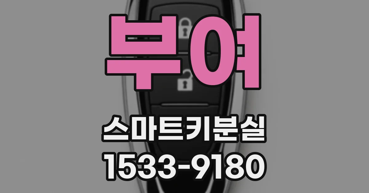 부여 스마트키분실