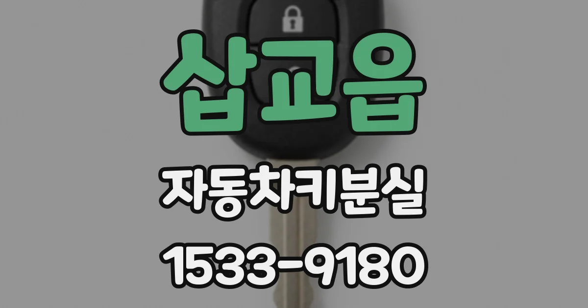 삽교읍 자동차키분실