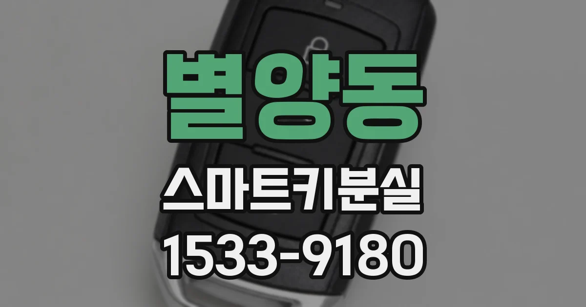 별양동 스마트키분실