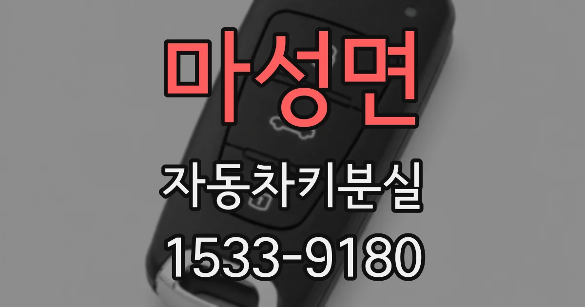 마성면 자동차키분실