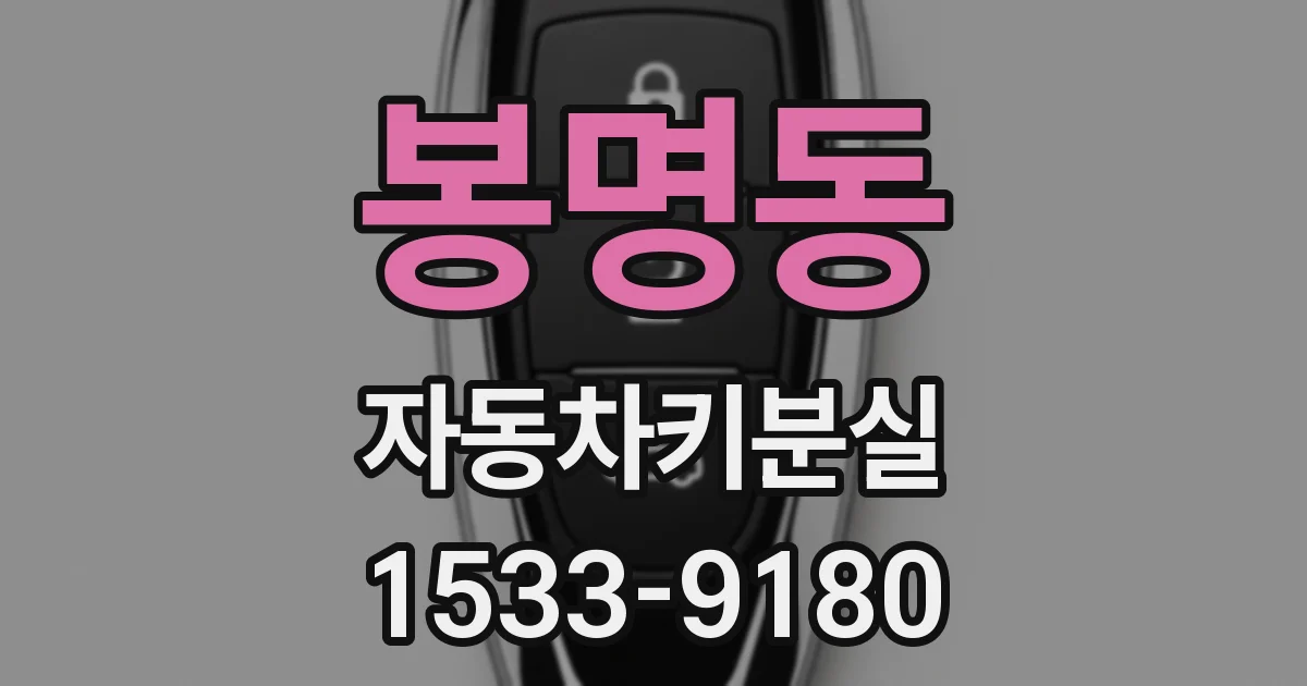봉명동 자동차키분실