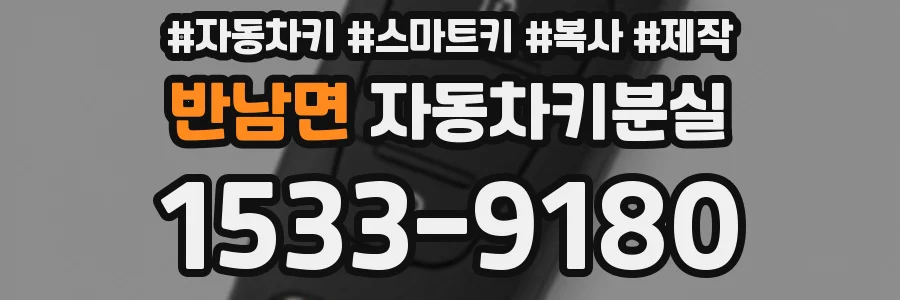 반남면 자동차키분실
