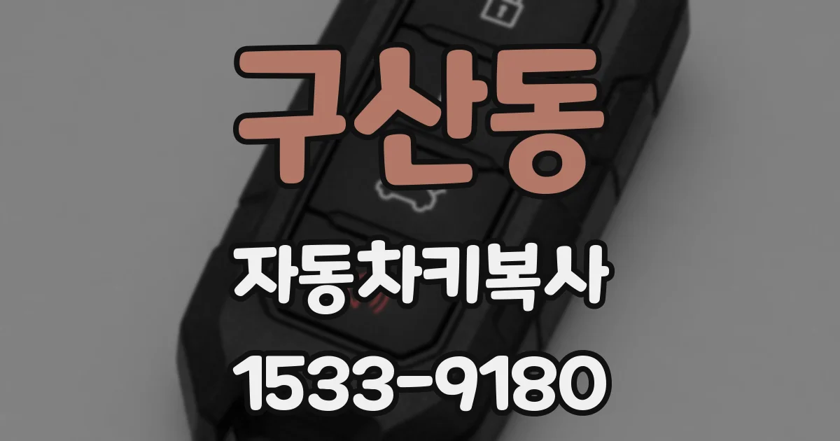 구산동 자동차키복사