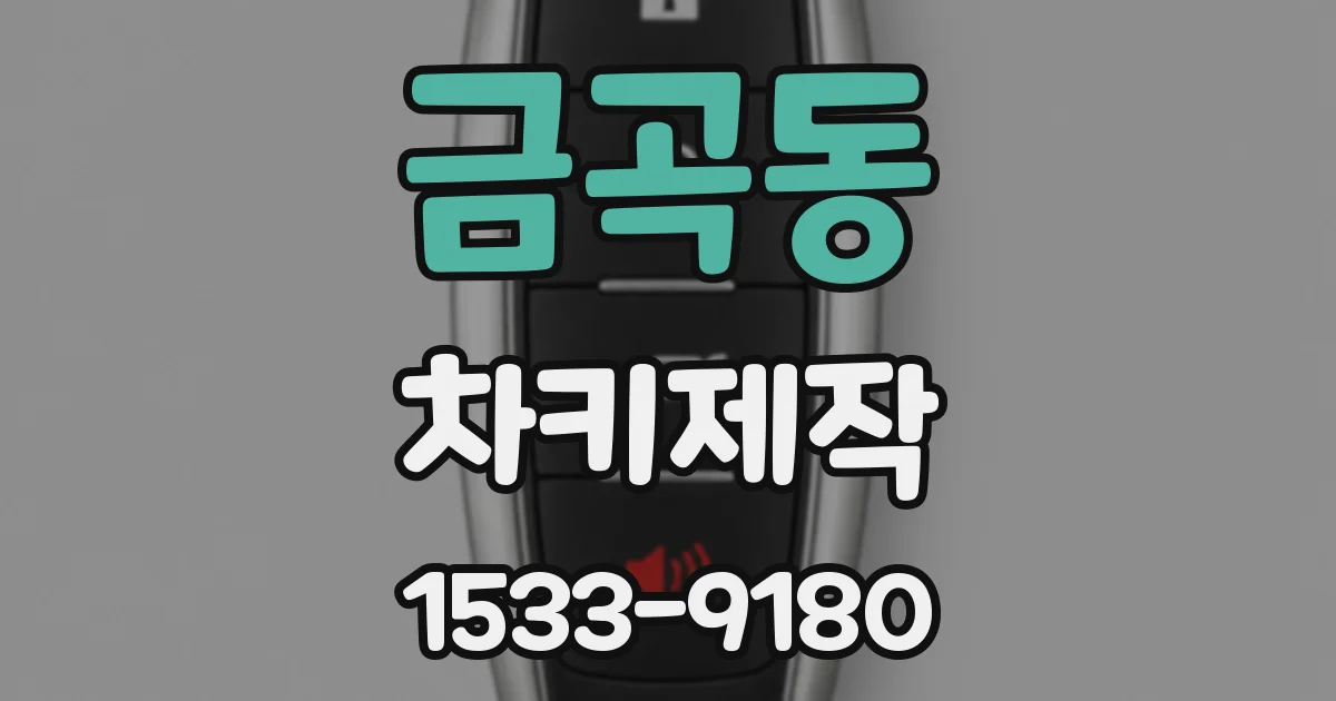 금곡동 차키제작