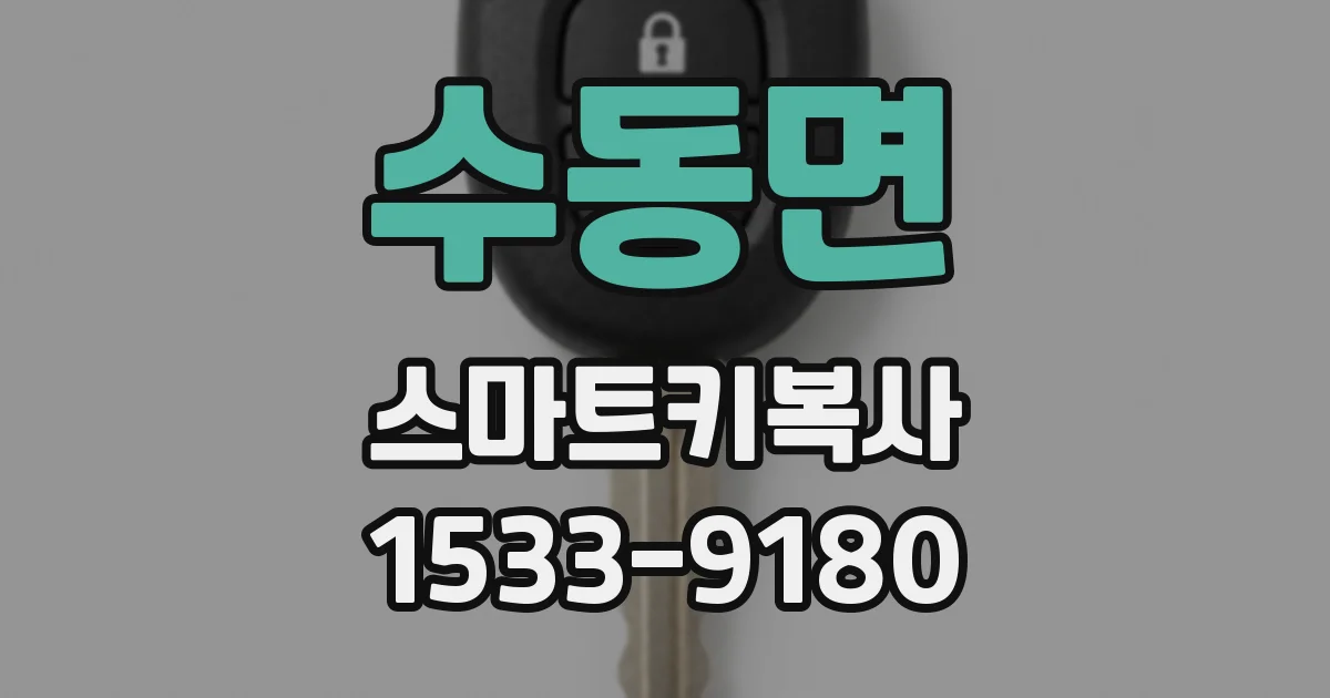 수동면 스마트키복사