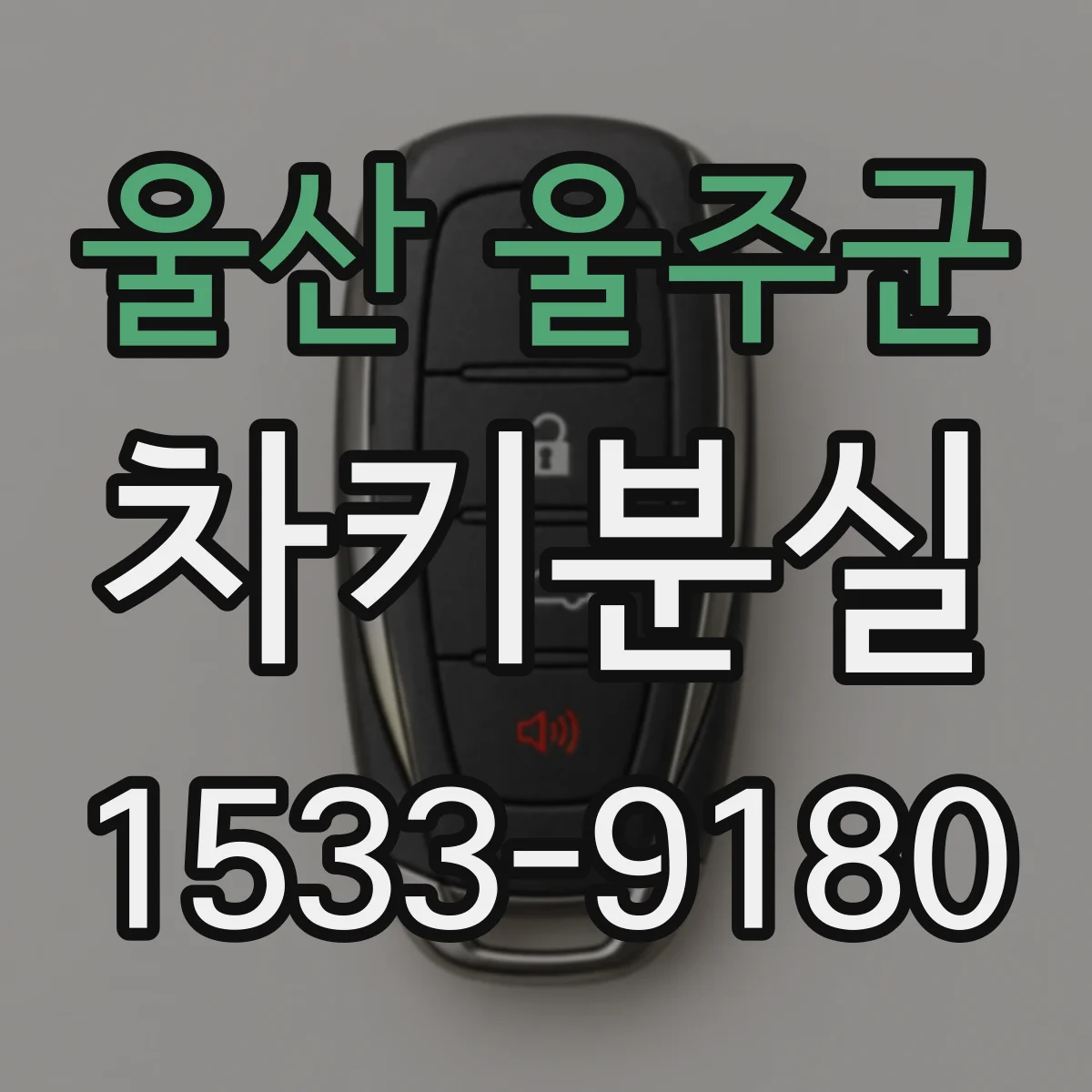 울산 울주군 차키분실