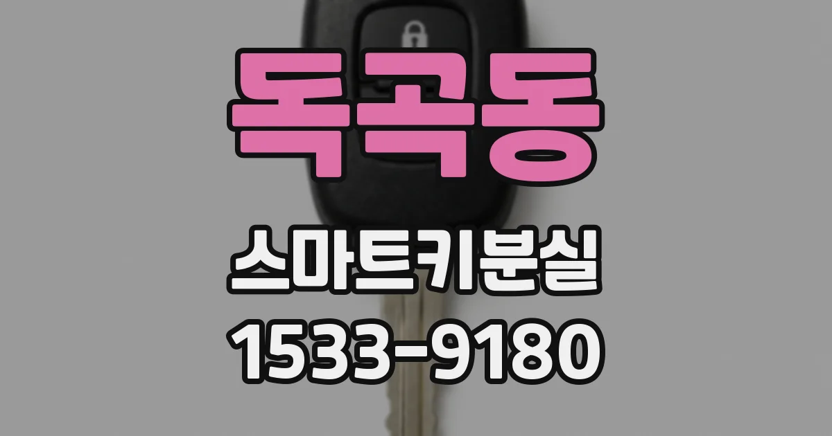 독곡동 스마트키분실