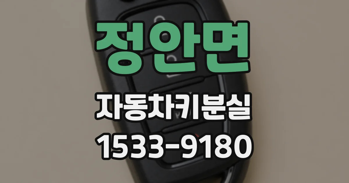 정안면 자동차키분실