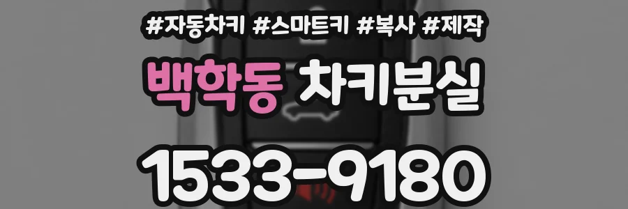 백학동 차키분실