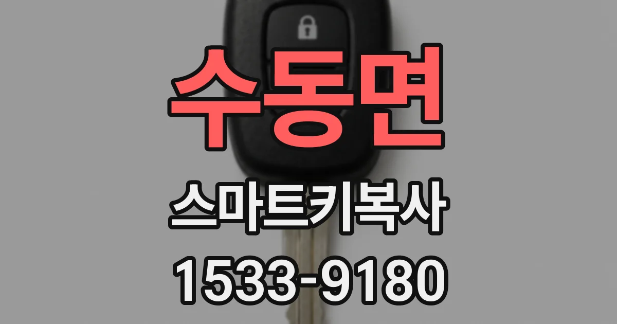 수동면 스마트키복사