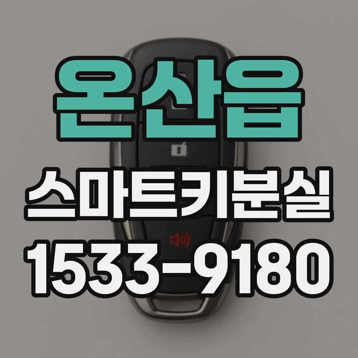 온산읍 스마트키분실