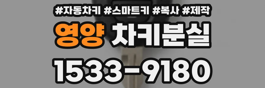 영양 차키분실