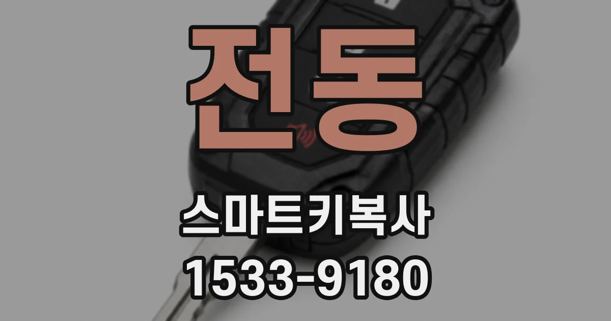 전동 스마트키복사