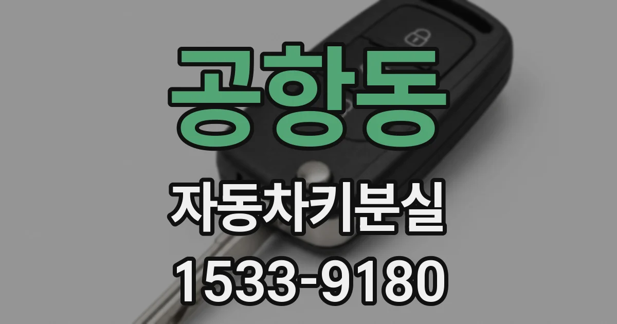 공항동 자동차키분실