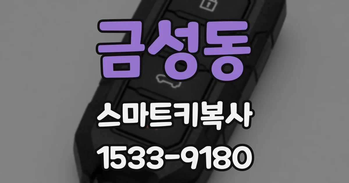 금성동 스마트키복사