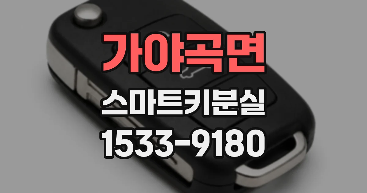 가야곡면 스마트키분실