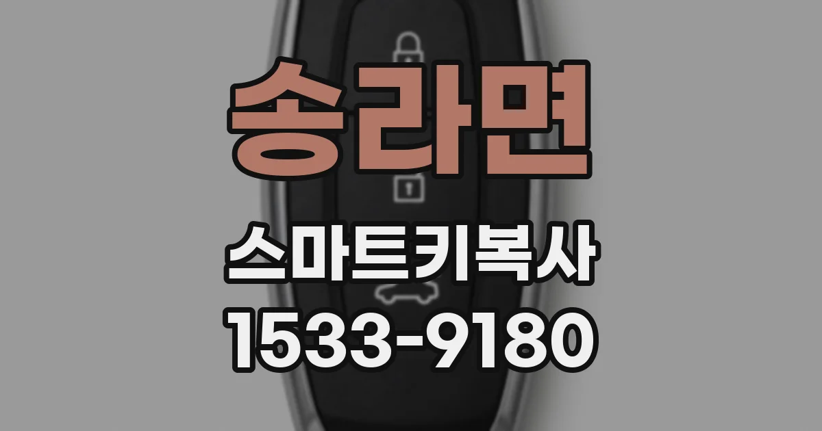 송라면 스마트키복사