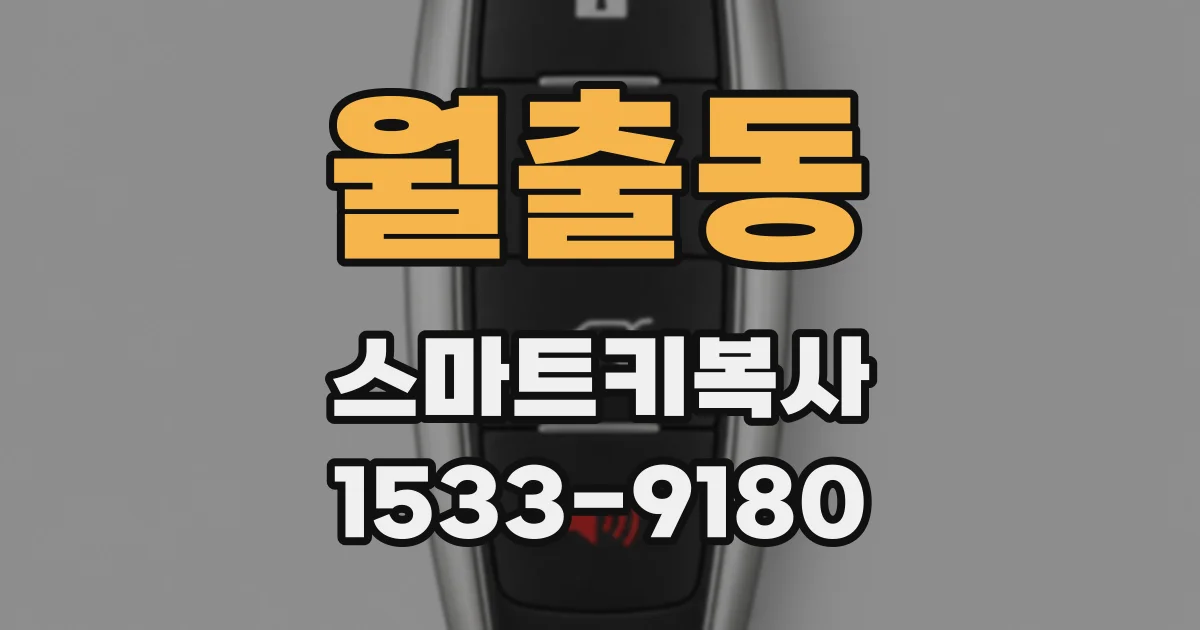 월출동 스마트키복사