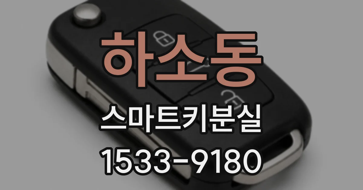 하소동 스마트키분실