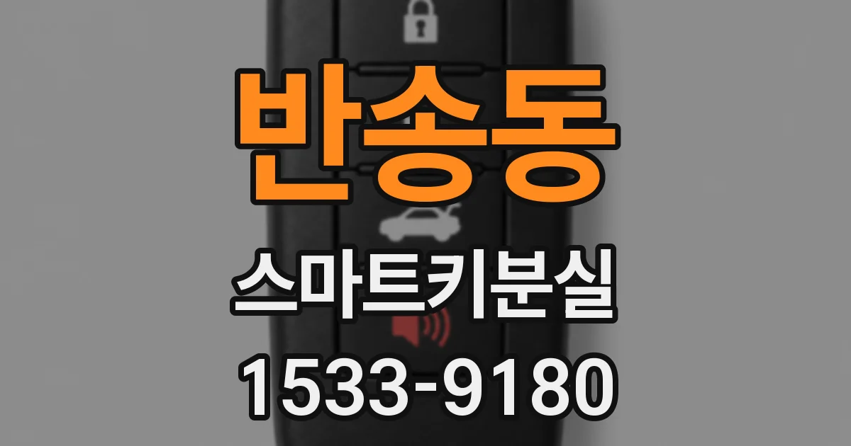 반송동 스마트키분실