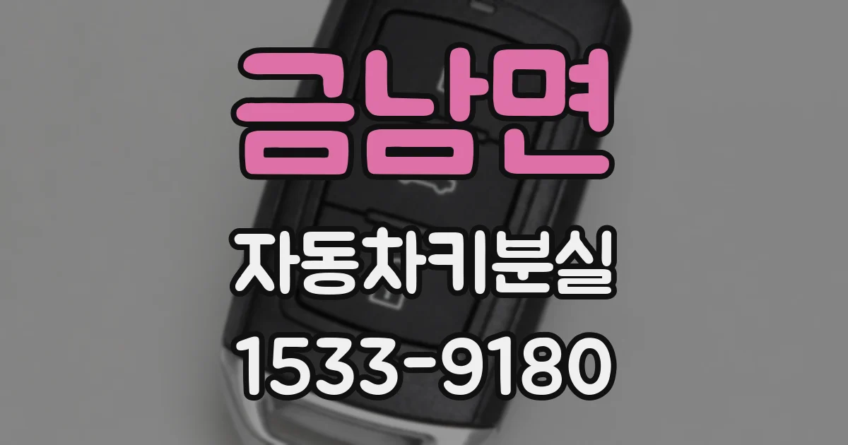 금남면 자동차키분실