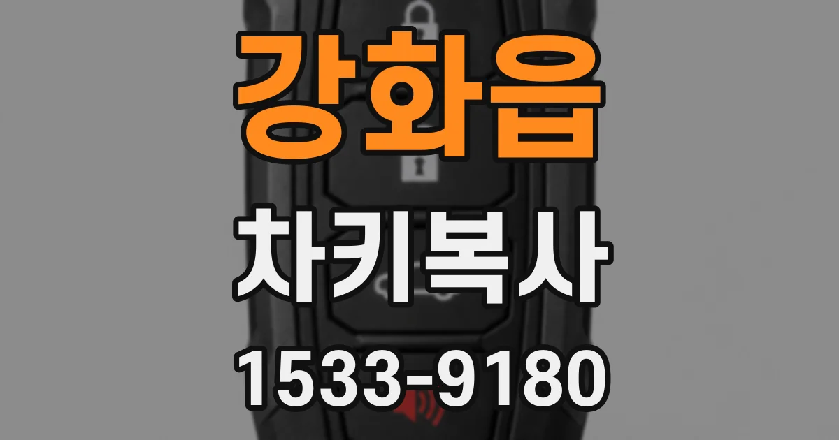 강화읍 차키복사