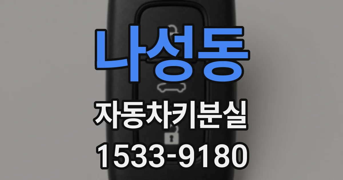 나성동 자동차키분실