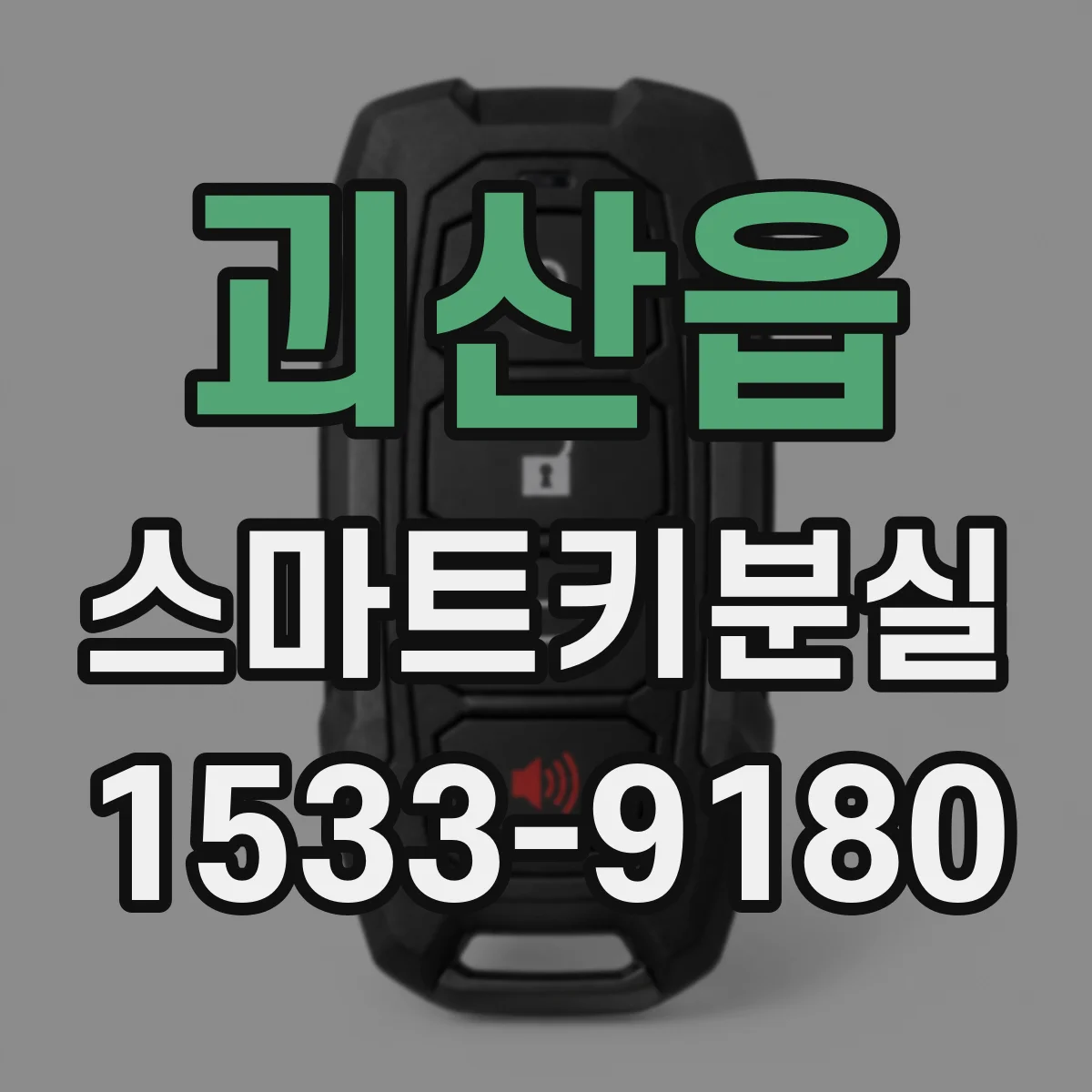 괴산읍 스마트키분실
