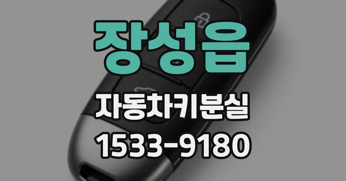 장성읍 자동차키분실