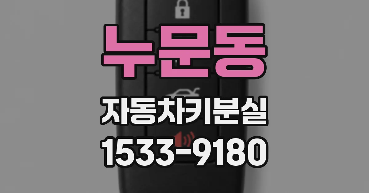 누문동 자동차키분실