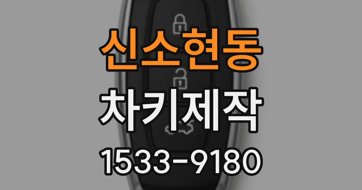 신소현동 차키제작
