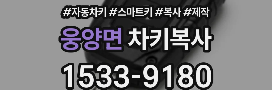 웅양면 차키복사