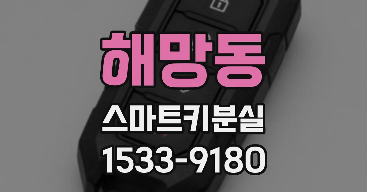 해망동 스마트키분실