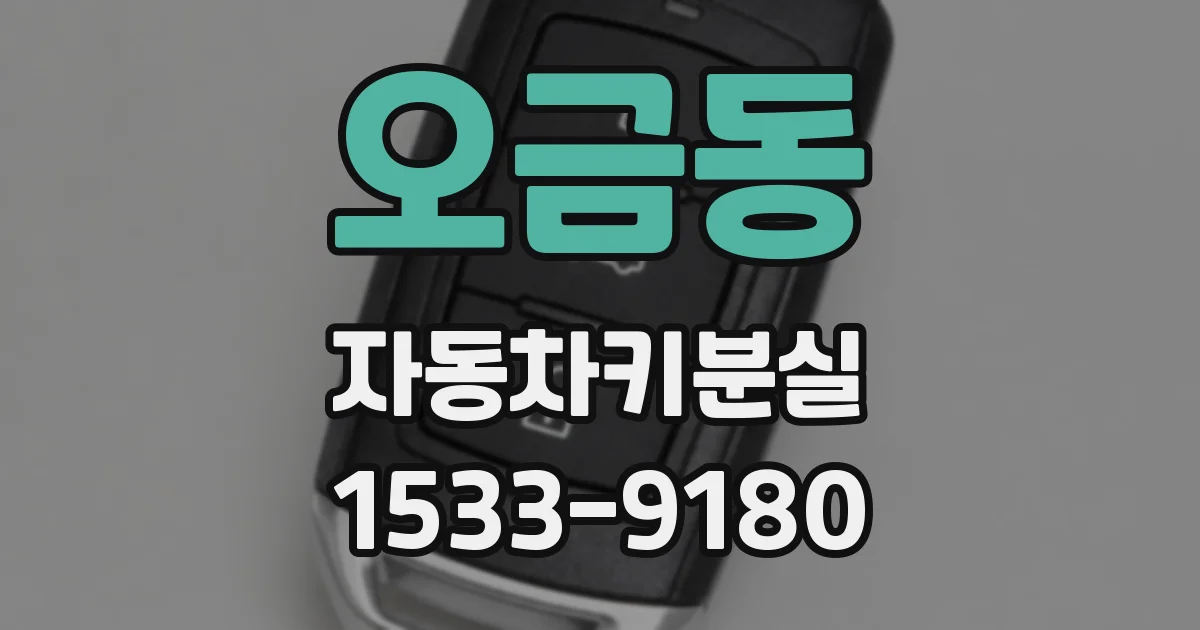오금동 자동차키분실