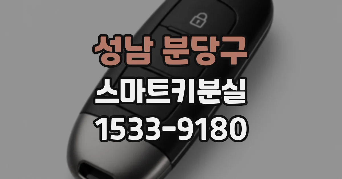성남 분당구 스마트키분실