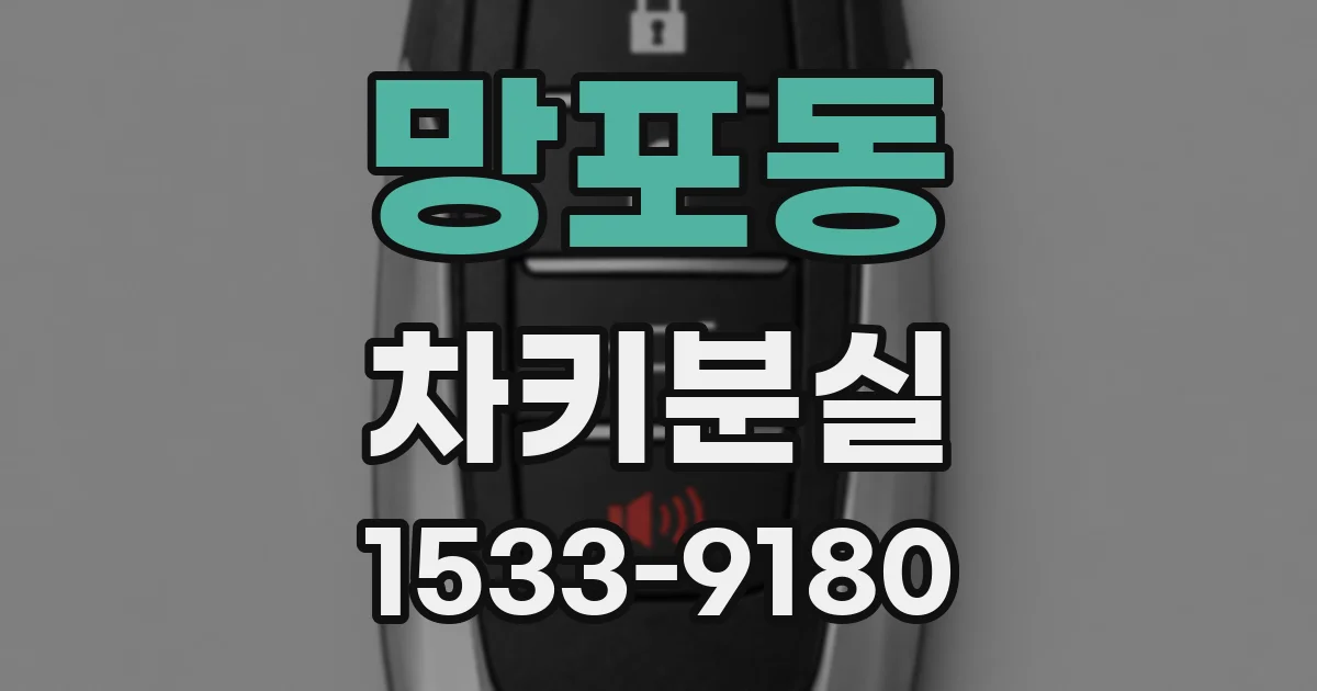 망포동 차키분실