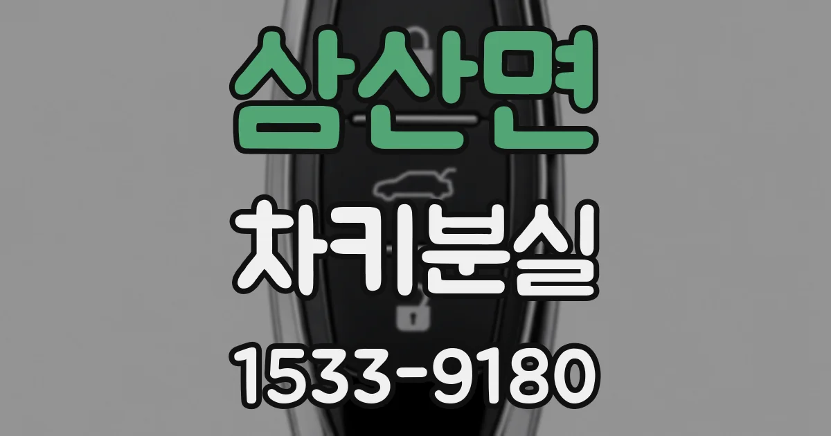 삼산면 차키분실
