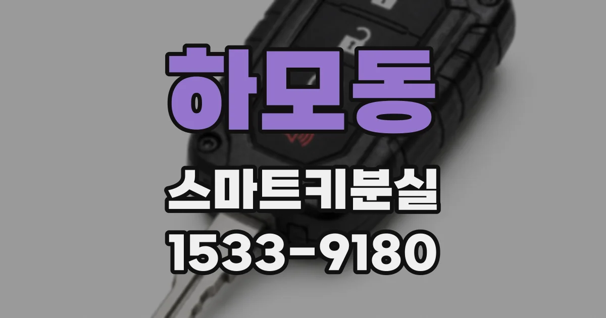 하모동 스마트키분실