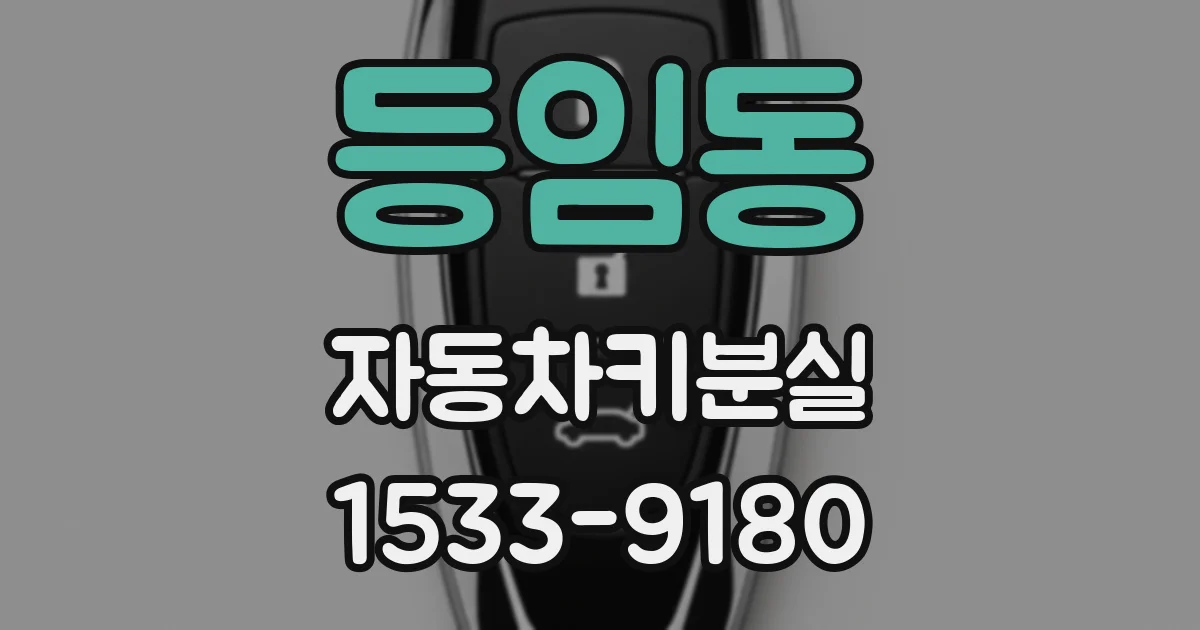 등임동 자동차키분실