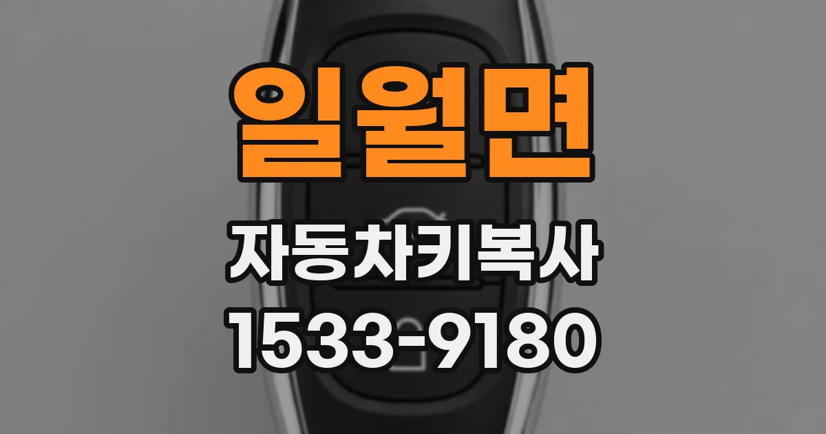 일월면 자동차키복사