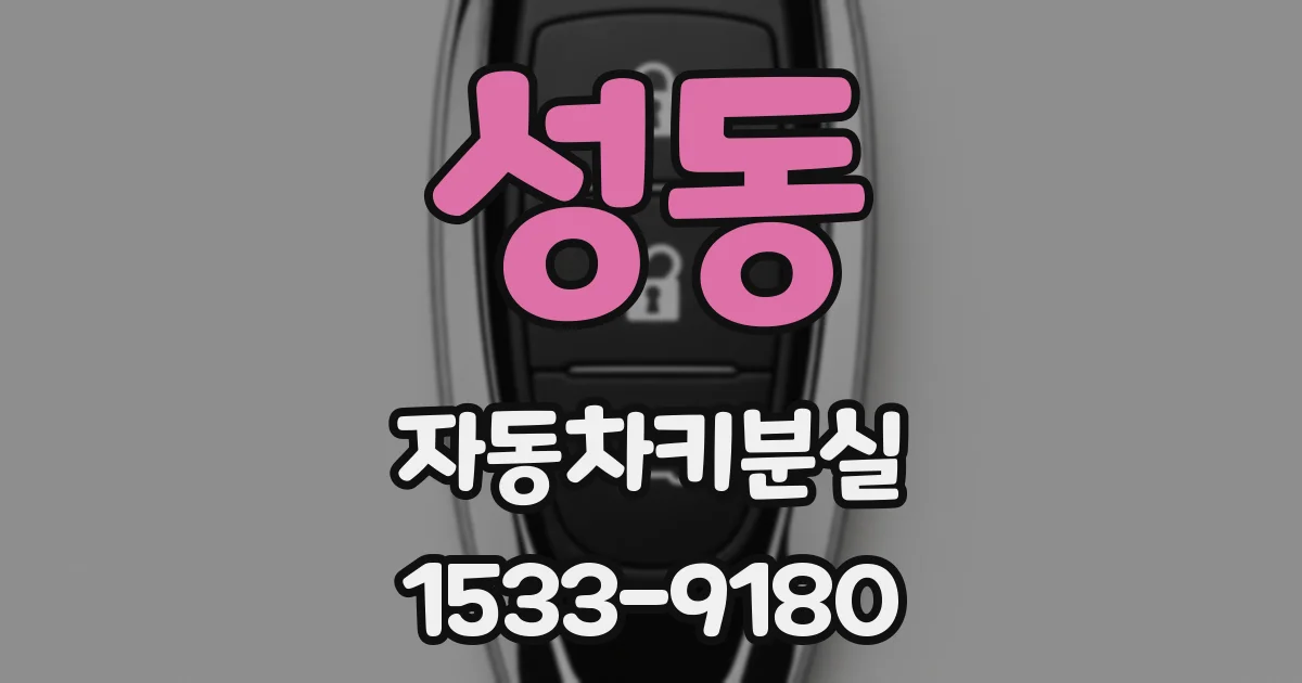 성동 자동차키분실
