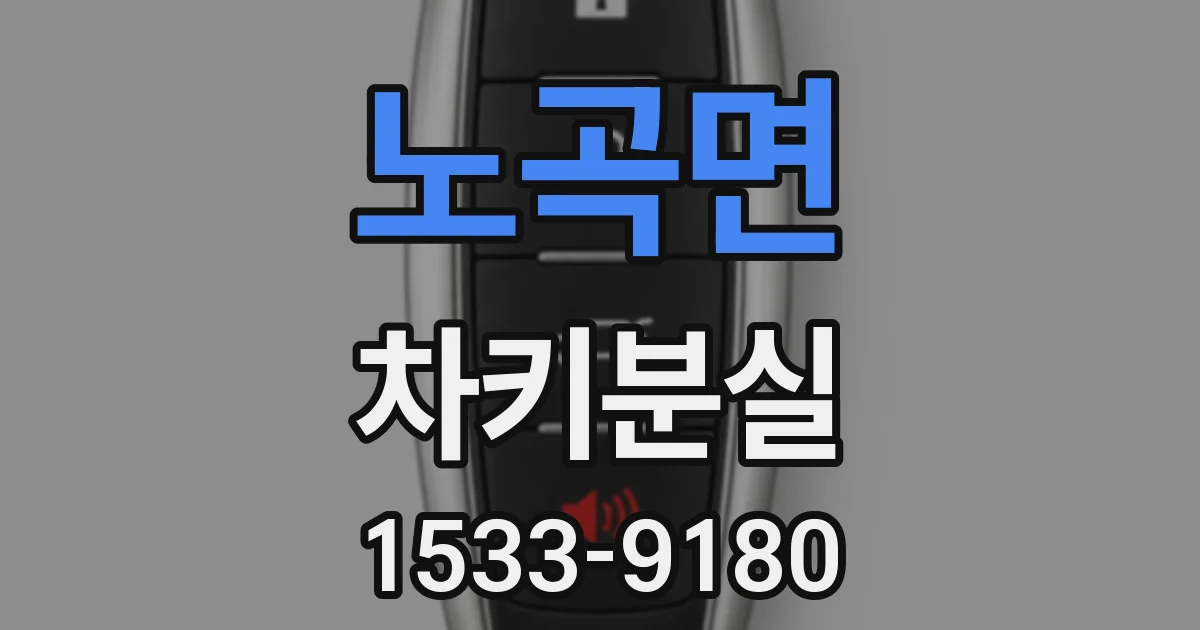 노곡면 차키분실