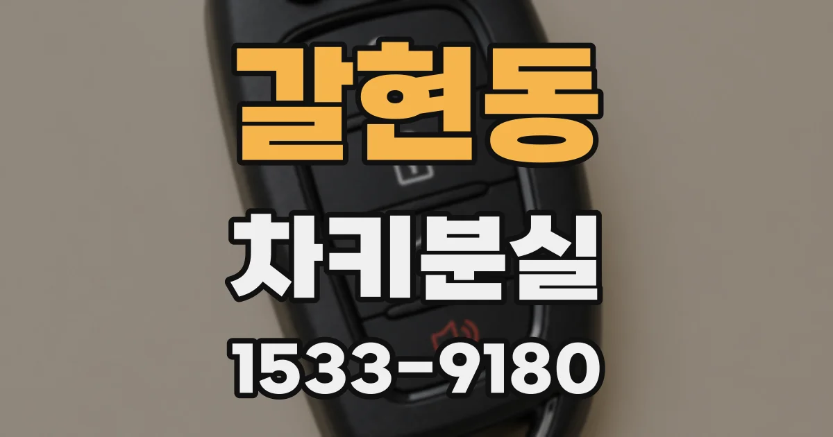 갈현동 차키분실