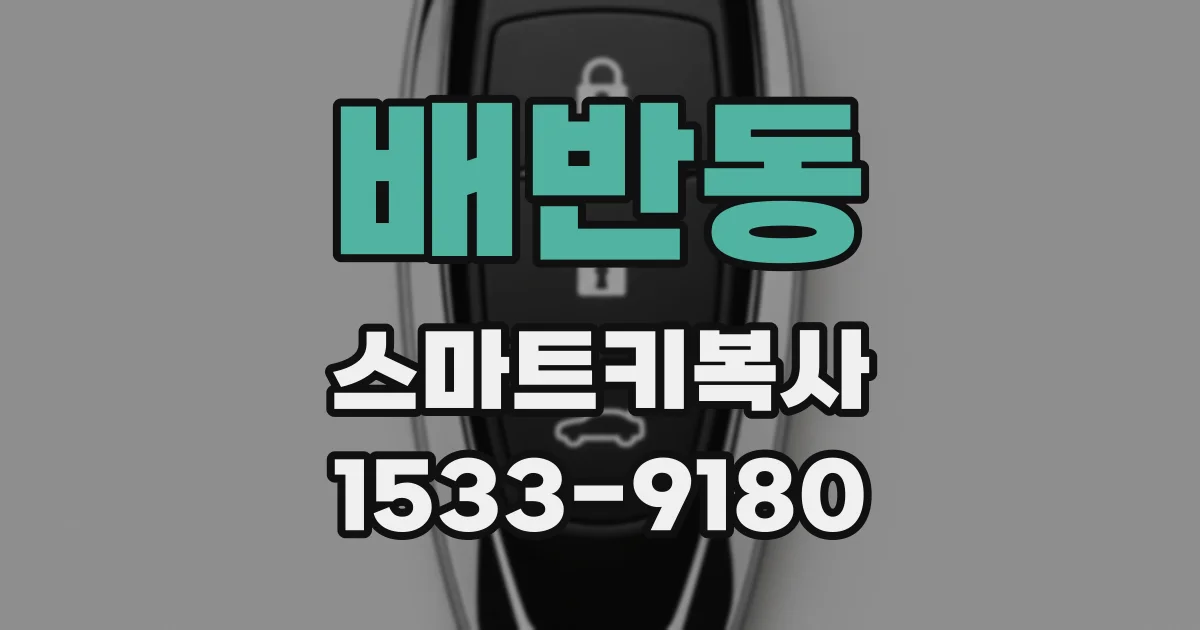 배반동 스마트키복사