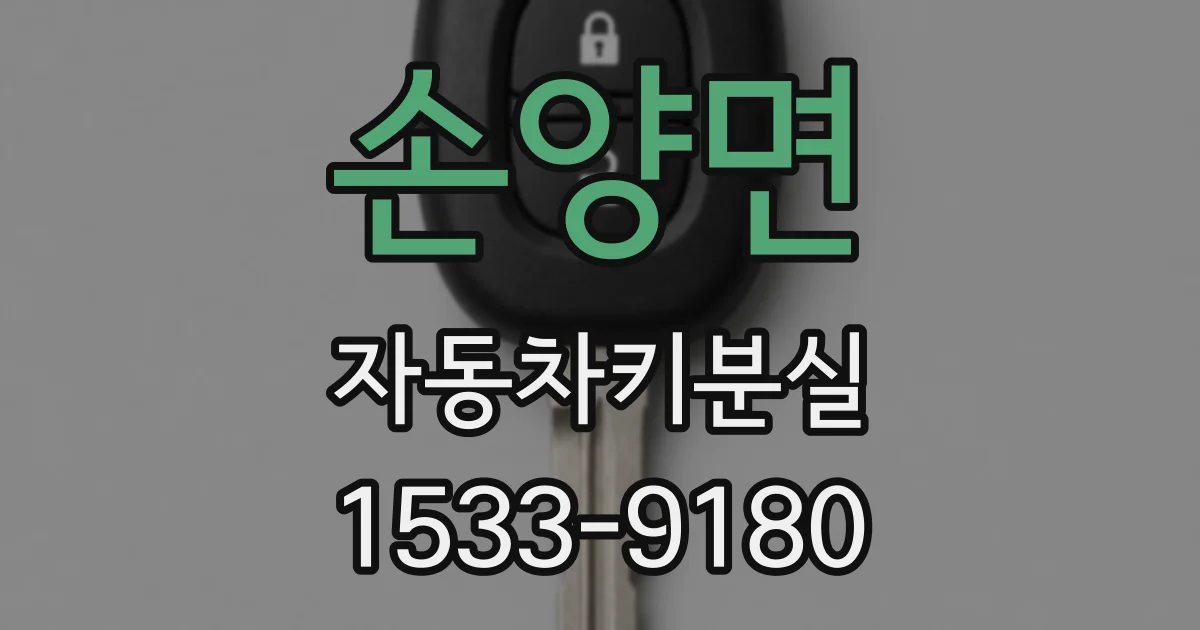 손양면 자동차키분실
